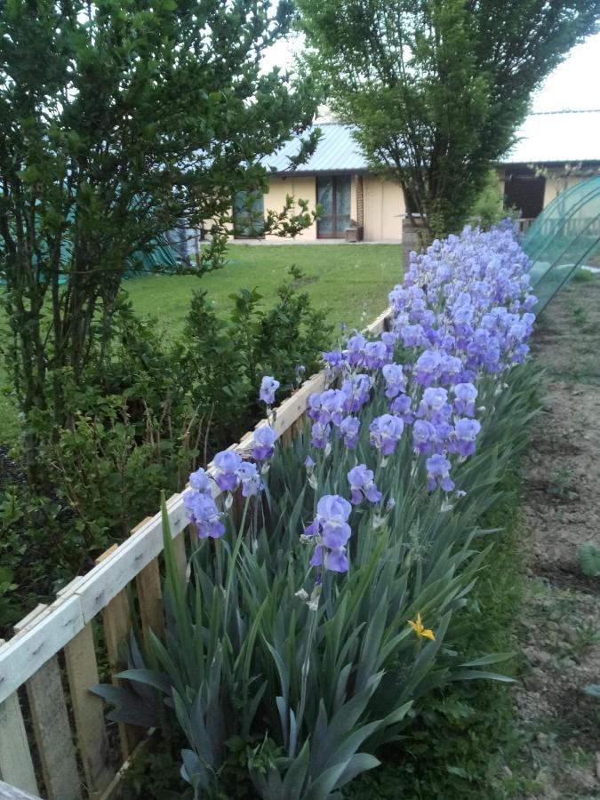 Apartamento Il Mulino Di Geminella Narzole Exterior foto