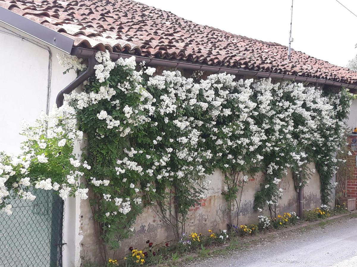 Apartamento Il Mulino Di Geminella Narzole Exterior foto